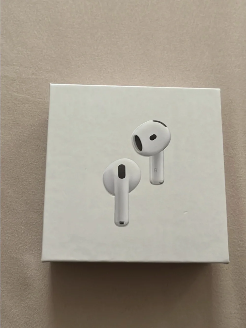 Apple Earbuds in White with Charging Case